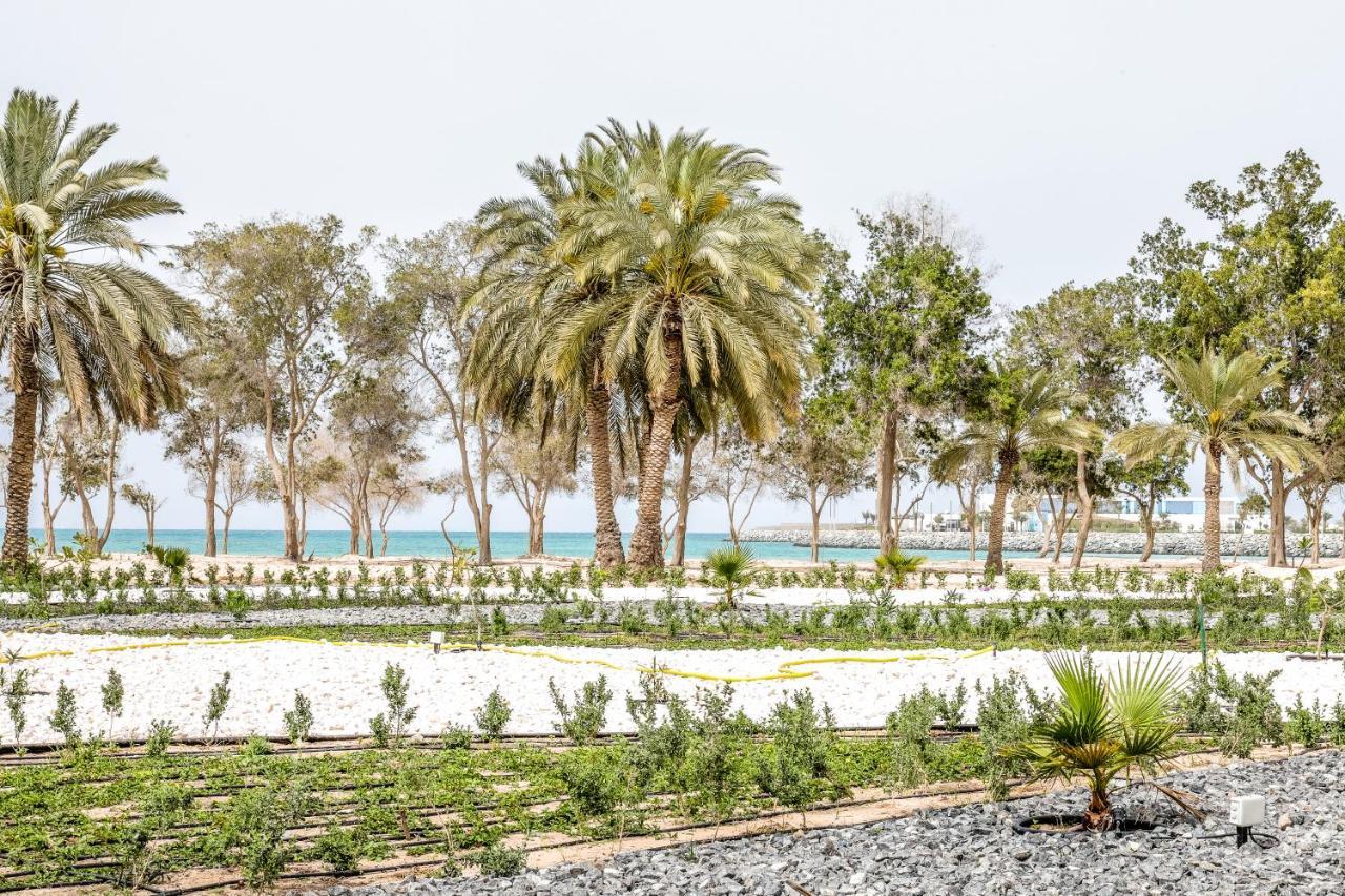 Dhafra Beach Hotel Jebel Dhanna Exterior photo